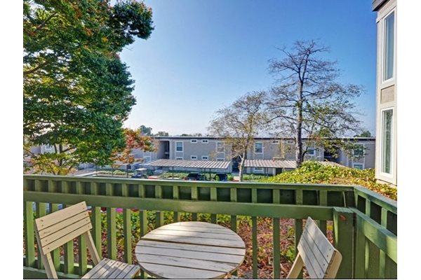 Baycliff Apartments 2300 Lancaster Dr Richmond RENTCaf